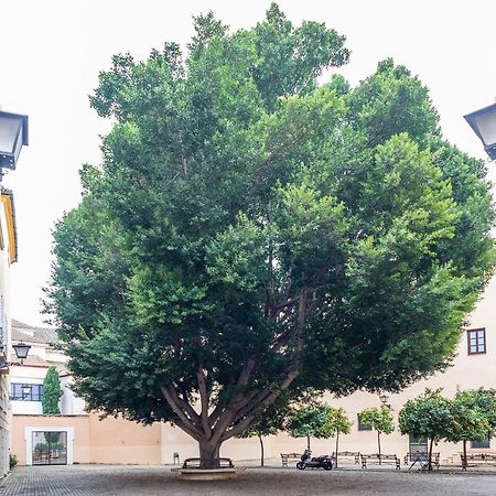 Alohamundi Escuelas Pias Sevilla Dış mekan fotoğraf