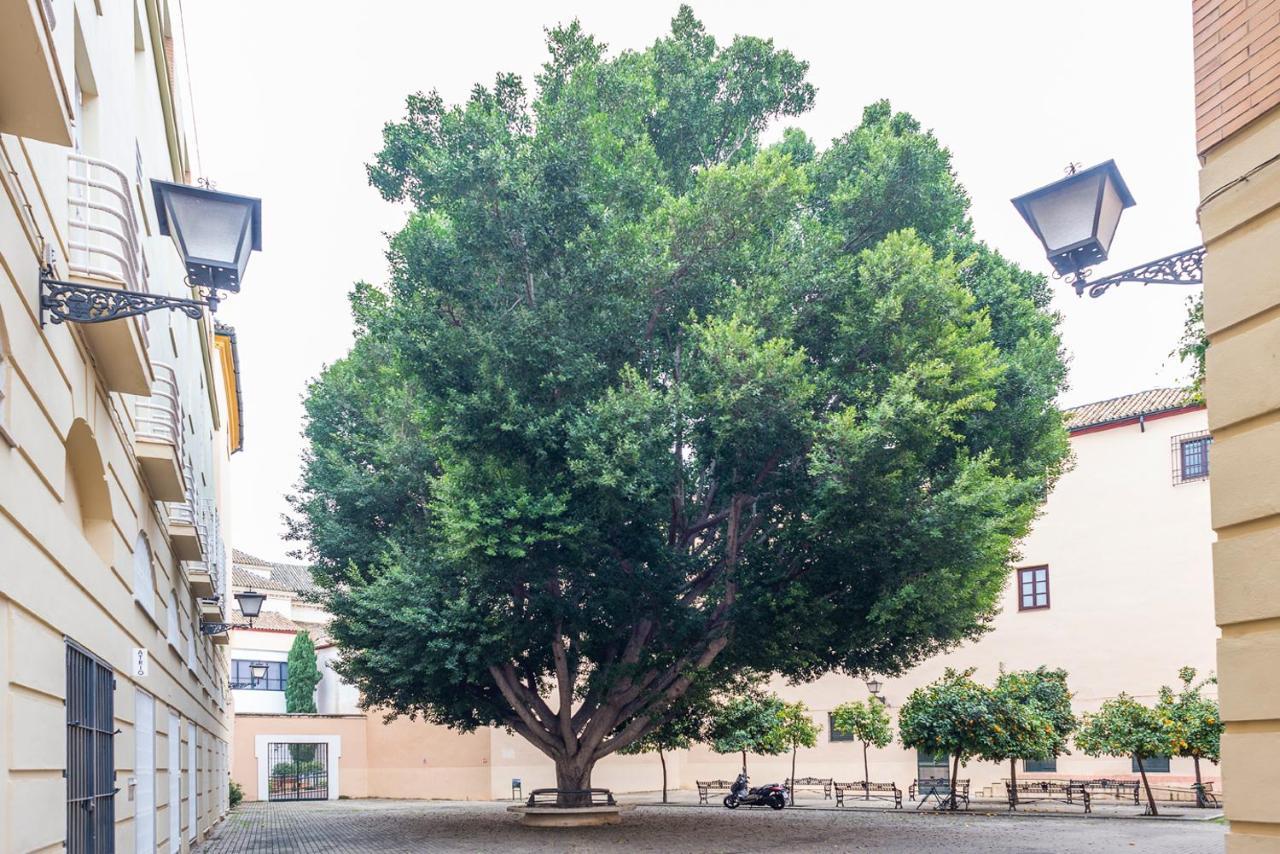 Alohamundi Escuelas Pias Sevilla Dış mekan fotoğraf